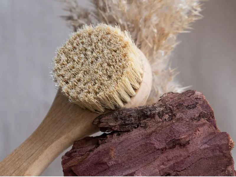  5 wichtige Faktoren, die bei der Auswahl von Tierpflegebürsten zu berücksichtigen sind